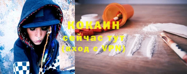 соль курить ск Горно-Алтайск
