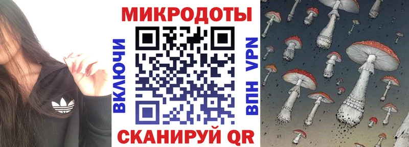 Купить где  Аркадак  Галлюциногенные грибы GOLDEN TEACHER 