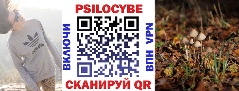 Псилоцибиновые грибы Cubensis Аркадак